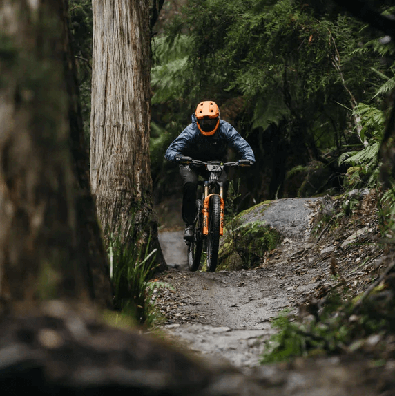 Small And Perfectly Formed – Paceline